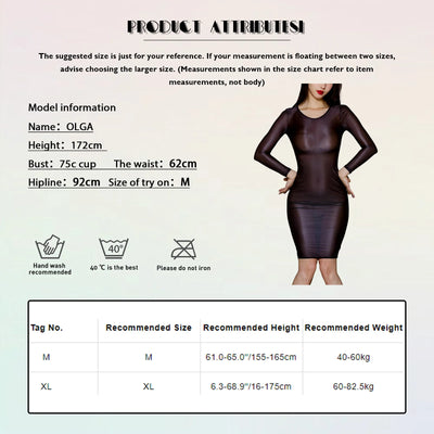 Women Sheer See-Through Bodycon Dress Glossy Long Sleeve High Stretch Skinny Mini Dress Tempting Lingerie Club Rave Party Wear