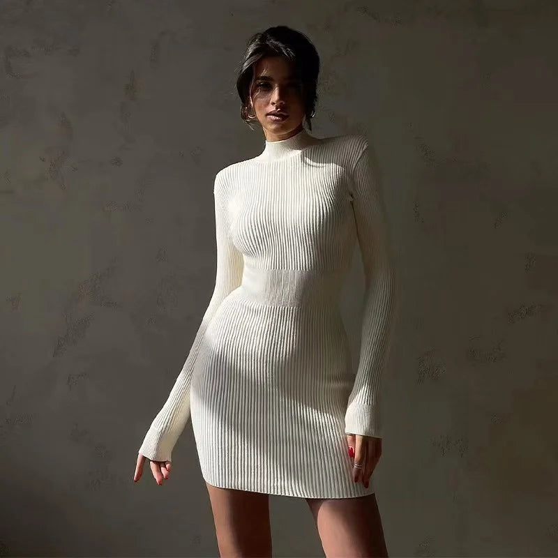 2024 New Autumn Knitted Turtleneck Dress Women Long Sleeve Bodycon Midi Dresses Female Elegant Fashion Solid Color Skinny Dress