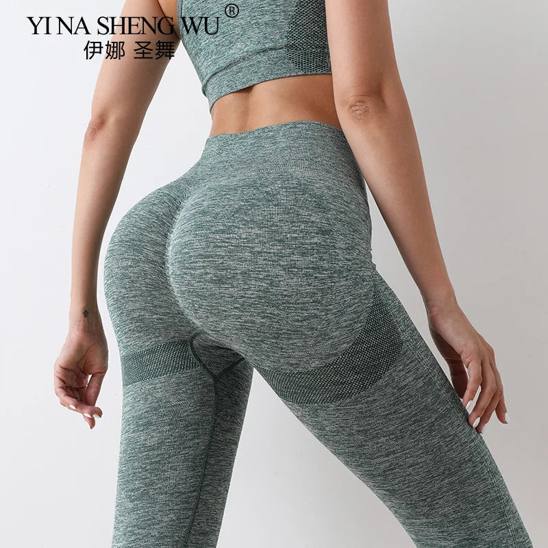 Yoga Set Gym Shorts Women Sport Bras Brassiere Workout Shorts for Women Yoga Clothes Fitness Leggings Gym Set Seamless Yoga Bra