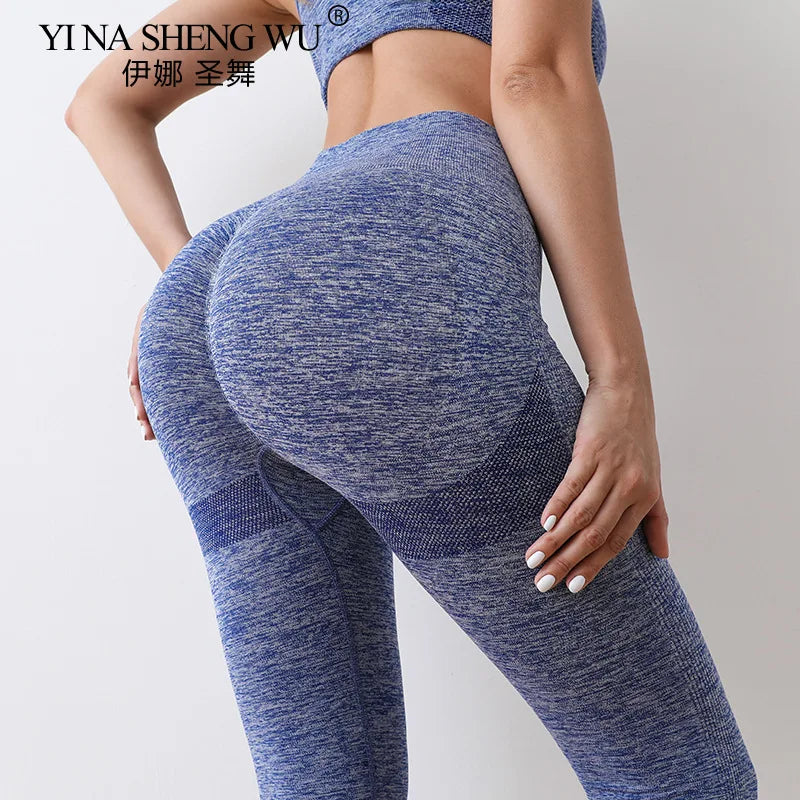 Yoga Set Gym Shorts Women Sport Bras Brassiere Workout Shorts for Women Yoga Clothes Fitness Leggings Gym Set Seamless Yoga Bra